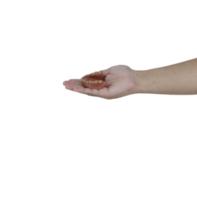 hands holding dirty dentures png