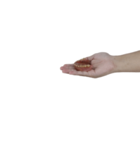 hands holding dirty dentures png
