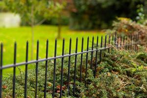 metal fence in the park overlooking a clearing with green grass photo