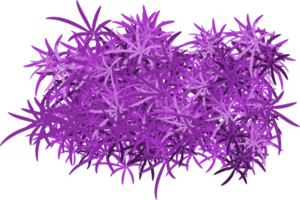 clipart buisson violet png