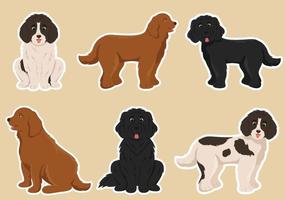 Newfoundland Dog Animals with Black, Brown or Landseer Color in Flat Style Cute Cartoon Template Hand Drawn Illustration vector