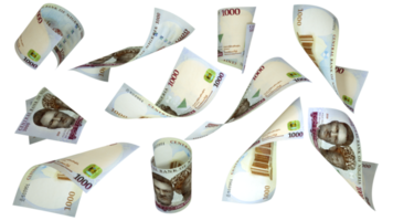 renderização 3D de 1000 notas de naira nigeriana voando em diferentes ângulos e orientações isoladas em fundo transparente png