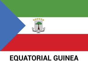 Equatorial flag design vector