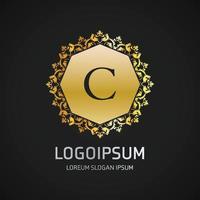 Alphabetic logo design with elegent design and typography vector