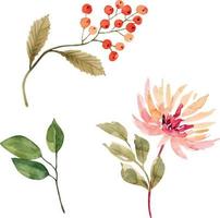 Botanical set of watercolor illustrations flowers and plants on a white background. vector