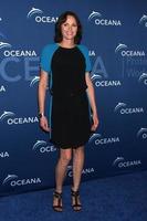 LOS ANGELES, OCT 30 - Jorja Fox at the Oceana s Partners Awards Gala 2013 at Beverly Wilshire Hotel on October 30, 2013 in Beverly Hills, CA photo