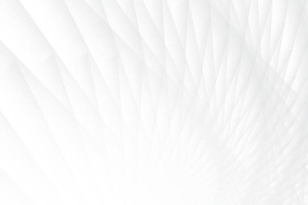 Abstract  white and gray color, modern design background with geometric shape. Vector illustration.