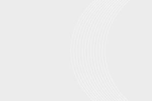 Abstract White gray gradient background vector