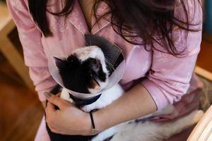 Black-white cat with plastic medical collar in embraces of its owner, top view. photo