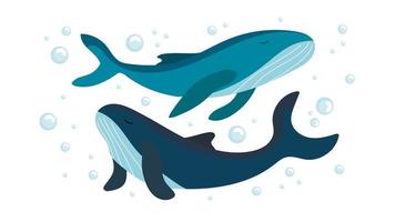 Flat set of blue whale on white background. Marine life. Vector illustration with cute bubbles and whales underwater.