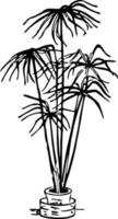 Palm of Kentia. Home plant in a pot sketch. Broadleaf lady palm vector