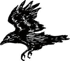 raven, crow. White and black. Isolated. vector