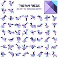 Tangram puzzle. Big set of tangram different birds. Vector jigsaw for kids.