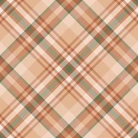 Plaid pattern vector. Check fabric texture. Seamless textile design for clothes, paper print. vector