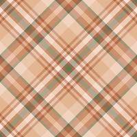 Plaid pattern vector. Check fabric texture. Seamless textile design for clothes, paper print. vector