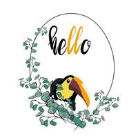 Hello frame with toucan and eucalyptus branches around vector