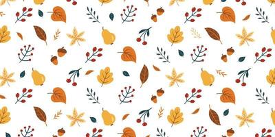 conjunto de hoja linda, fruta para el tema del otoño en el diseño de fondo del patrón. colección de dibujos animados simples de la naturaleza ilustración dibujada a mano. vector