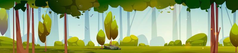 Summer forest panorama with trees and green grass vector