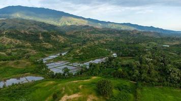 Aerial view of rice fields, hills, plantations in a village photo