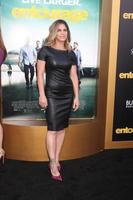LOS ANGELES, MAY 27 - Jillian Michaels at the Entourage Movie Premiere at the Village Theater on May 27, 2015 in Westwood, CA photo