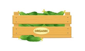 Wooden box with cucumbers. Vegetable box icon. Vector illustration isolated on white background.