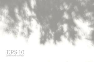 sombra vegetal natural transparente. superposición de efectos de luz. rejilla de malla. sombras de ramas, plantas, follaje y hojas en el suelo. presentación de su tarjeta de diseño, vector realista de la foto del cartel
