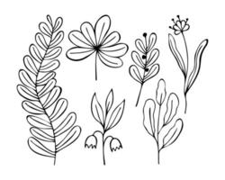 Set doodle flower twigs hand drawn, contour, isolated, white background. vector