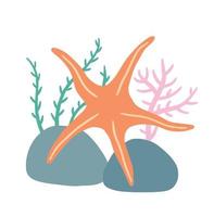 Starfish on seabed with rocks and algae. vector