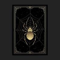 Mystical or magical gold spider on celestial web vector