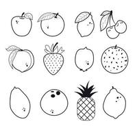 Line-style fruit set. Apple orange lime lemon cherry peach strawberry kiwi melon papaya coconut pineapple vector