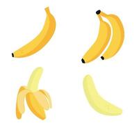 un conjunto de diferentes plátanos vector