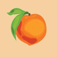 A bright peach in watercolor style vector