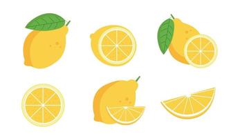 A set of different lemons, a cut and a half vector