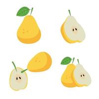 A set of different pears, whole and sliced vector