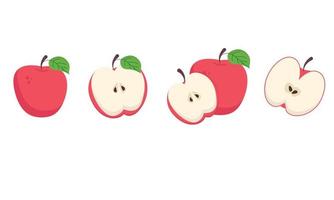 A set of different apples, a cut and a half vector