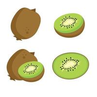 un conjunto de diferentes tipos de kiwi vector