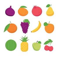 Fruit set. Grape fig mango apple pineapple pomegranate pear banana tangerine watermelon cherry vector