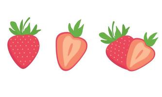 A set of different strawberries, a cut and a half vector