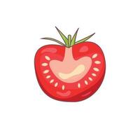 Tomato one cut half on a white background vector