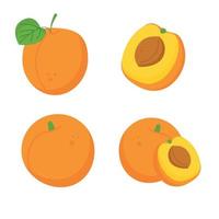 conjunto de diferentes frutas de albaricoque vector