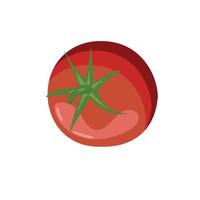 un vector dibujado tomate rojo