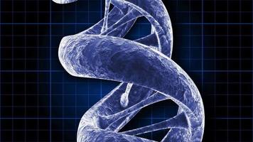 ein rotierender DNA-Strang - Schleife video