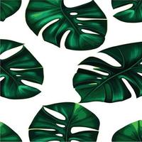 patrón de monstera verde fondo blanco. patrón exótico con hojas tropicales. ilustración vectorial patrón de hoja de monstera. hojas de palmeras tropicales. tela de diseño exótico, estampado textil, papel de regalo vector