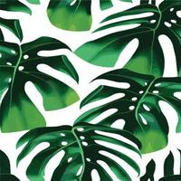 patrón de monstera verde fondo blanco. patrón exótico con hojas tropicales. ilustración vectorial patrón de hoja de monstera. hojas de palmeras tropicales. tela de diseño exótico, estampado textil, papel de regalo vector