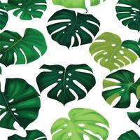 patrón de monstera verde fondo blanco. patrón exótico con hojas tropicales. ilustración vectorial patrón de hoja de monstera. hojas de palmeras tropicales. tela de diseño exótico, estampado textil, papel de regalo vector