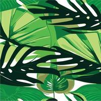 green monstera pattern white background. exotic pattern with tropical leaves. Vector illustration. monstera leaf pattern. Tropical palm leaves. Exotic design fabric, textile print, wrapping paper