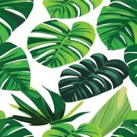 patrón de monstera verde fondo blanco. patrón exótico con hojas tropicales. ilustración vectorial patrón de hoja de monstera. hojas de palmeras tropicales. tela de diseño exótico, estampado textil, papel de regalo vector