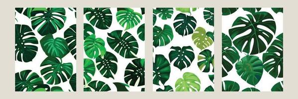 green monstera as a pattern on a white background. exotic pattern with tropical leaves. Vector illustration. set of square posters