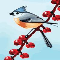 Vector realistic detailed vector illustration winter birds branches. Winter design elements Christmas, holidays. sitting branch. Winter background. Tree branch without leaves with flying birds.