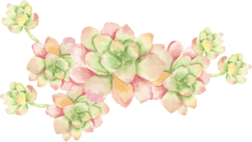 watercolor cactus and succulent bouquet arrangement png